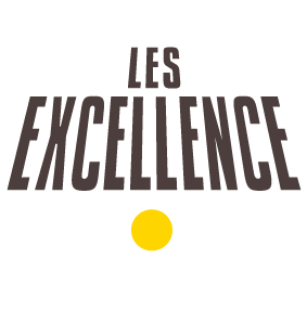 Logo Les Excellence de BPIFRANCE